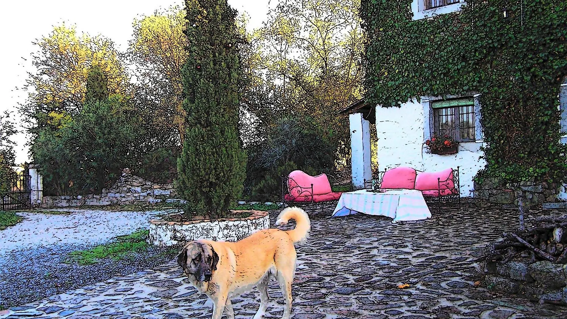 Casa Rural Cortijo Del Zoco Bajo Pozoblanco 0*,