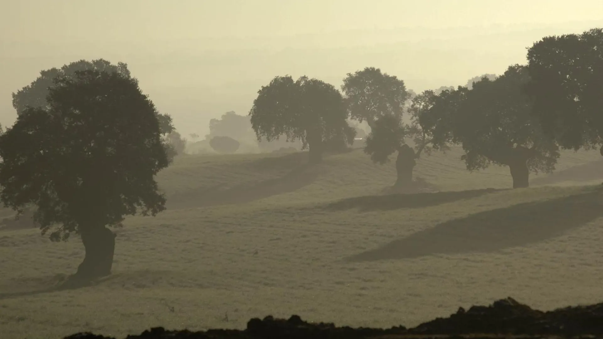 Venkovský dům Casa Rural Cortijo Del Zoco Bajo Pozoblanco