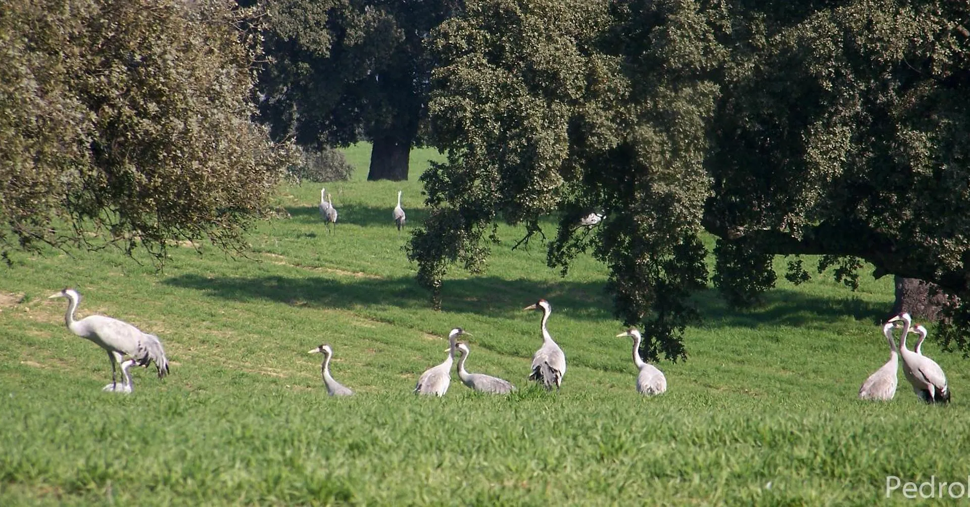 Venkovský dům Casa Rural Cortijo Del Zoco Bajo Pozoblanco